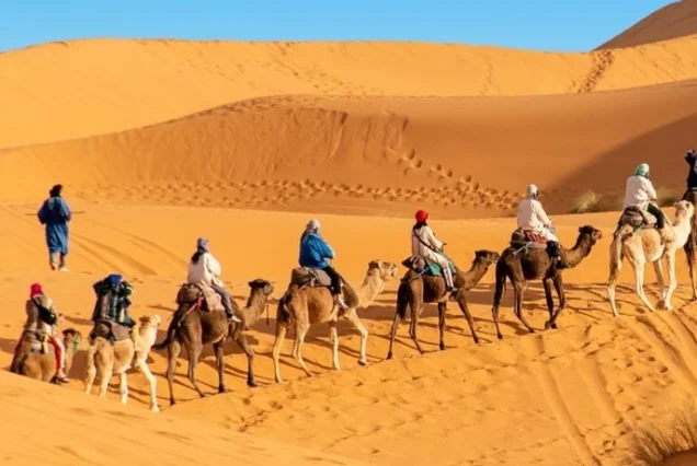 Shared tour : Marrakech To Fes Desert Tour